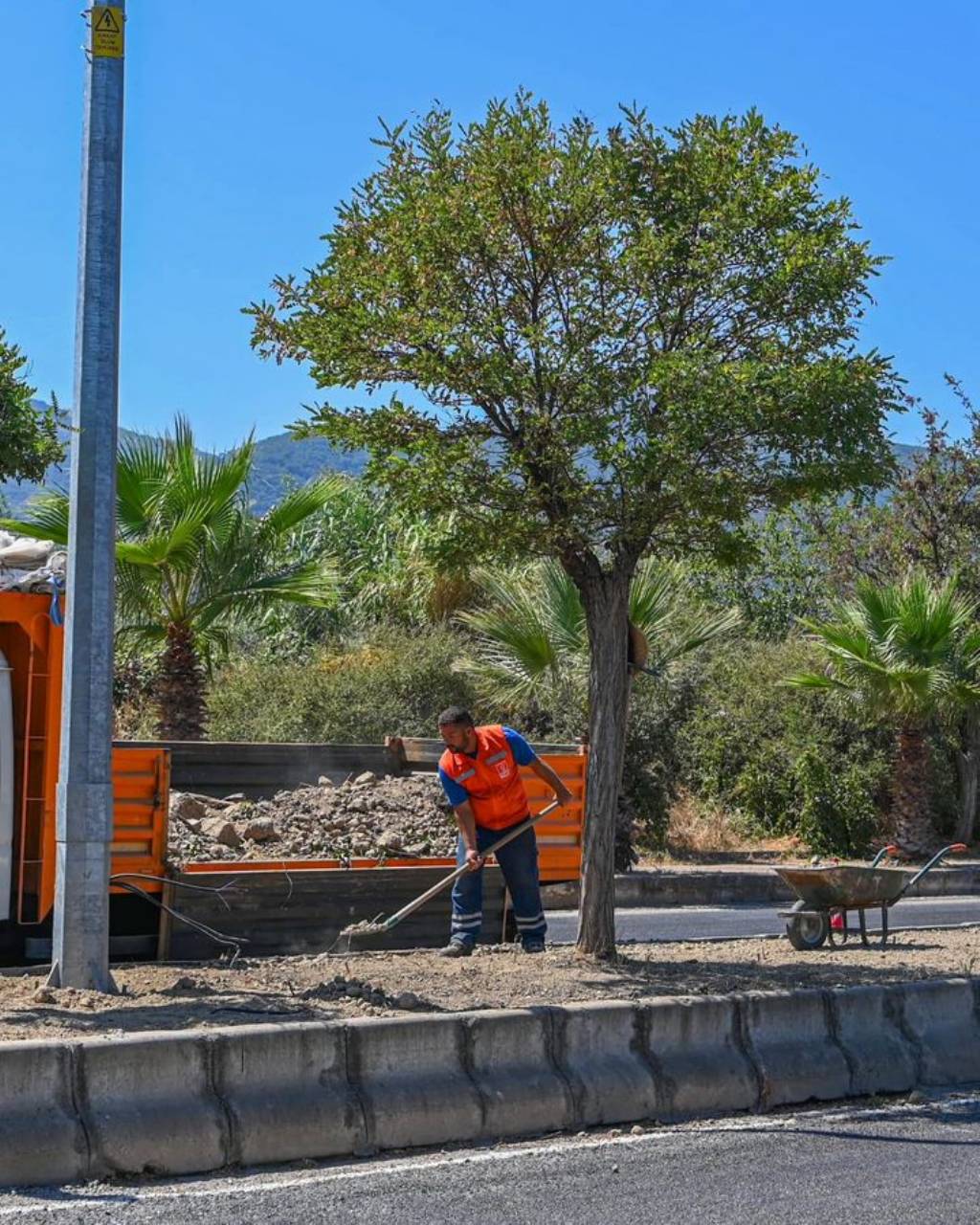 Kuşadası Belediyesi Güzelçamlı'da Orta Refüj Yenileme Çalışmalarına Başladı