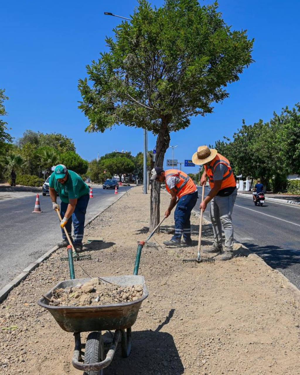 Kuşadası Belediyesi Güzelçamlı'da Orta Refüj Yenileme Çalışmalarına Başladı