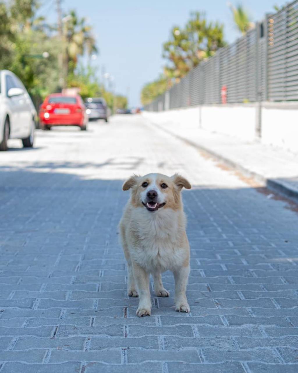 Kuşadası'nda Yeni Yollar Hizmete Açıldı