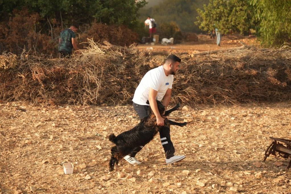 Didim'de Yangınlara Müdahale Devam Ediyor