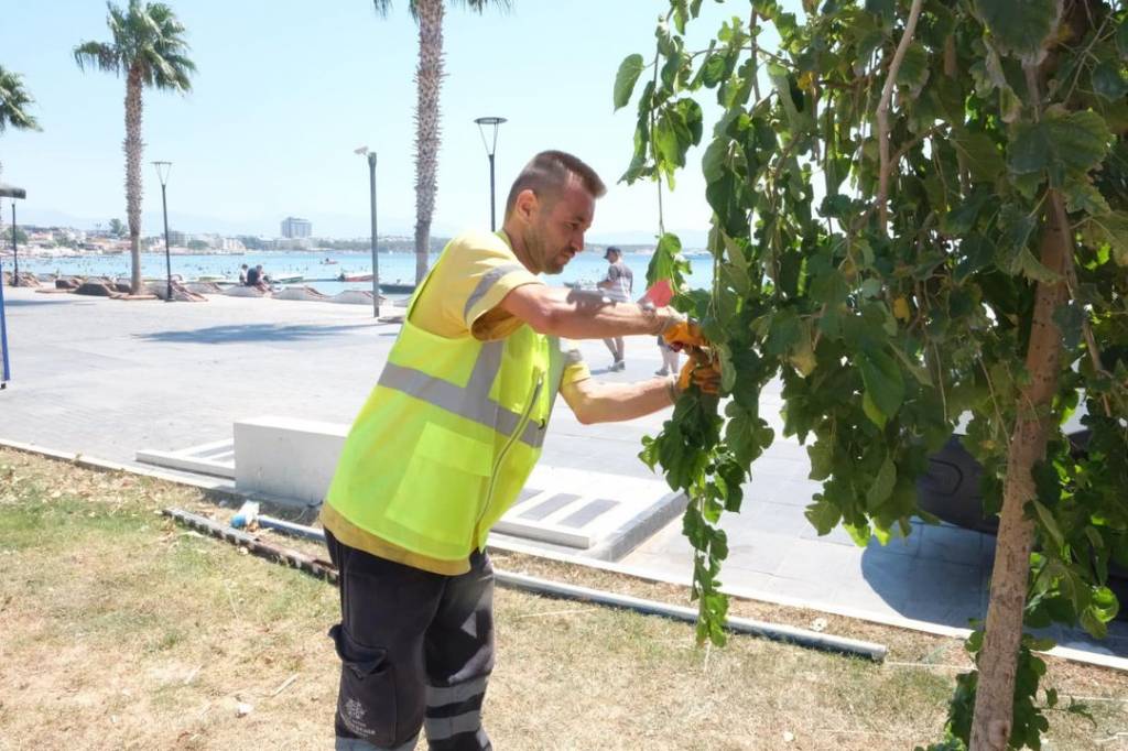 Aydın Büyükşehir Belediyesi Temizlik Çalışmalarına Devam Ediyor