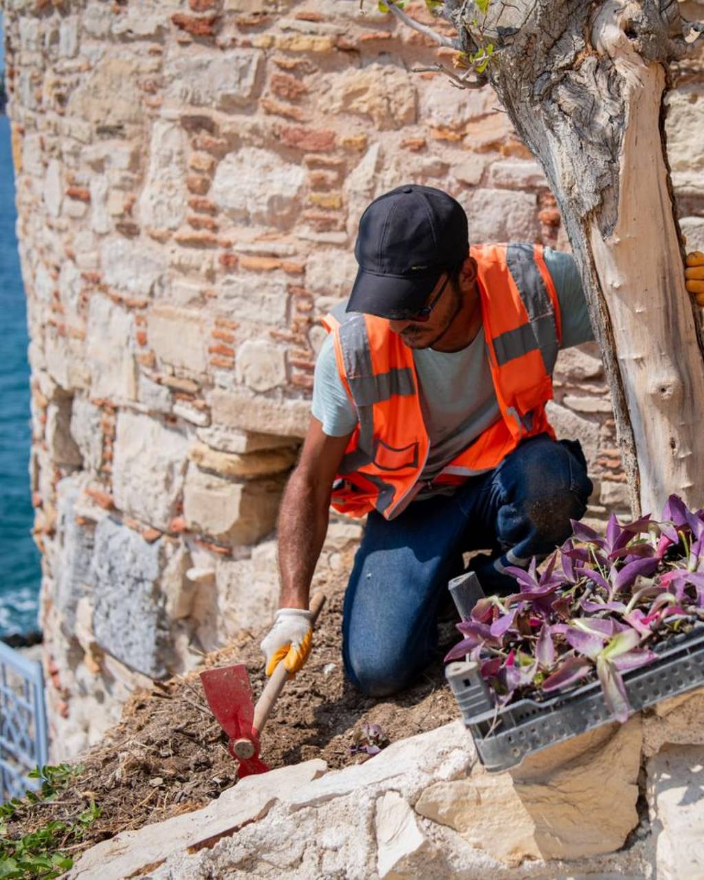 Kuşadası Belediyesi'nden Güvercinada'ya Peyzaj Çalışması