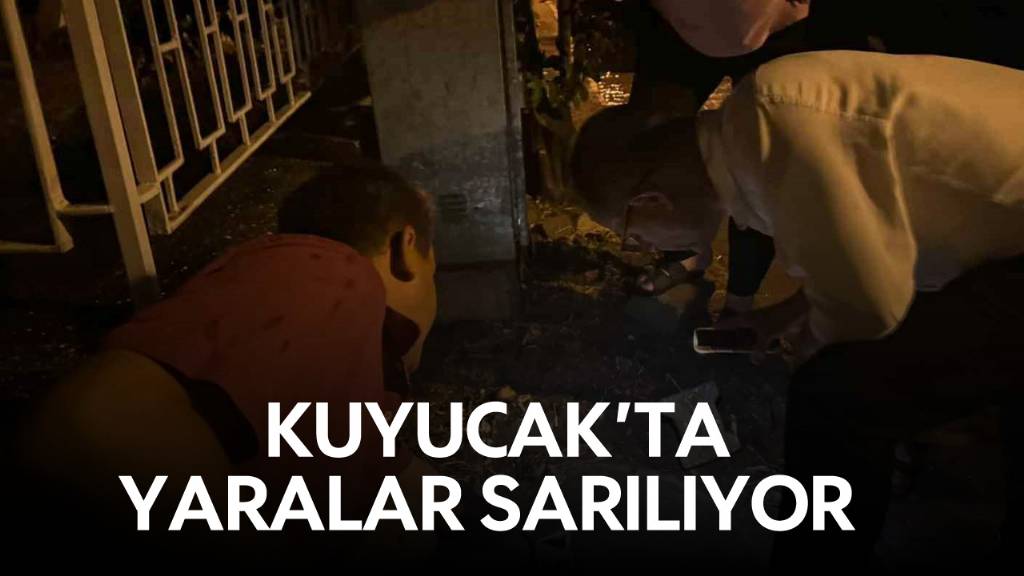 Kuyucak'ta Sağanak Yağış Hayatı Olumsuz Etkiledi