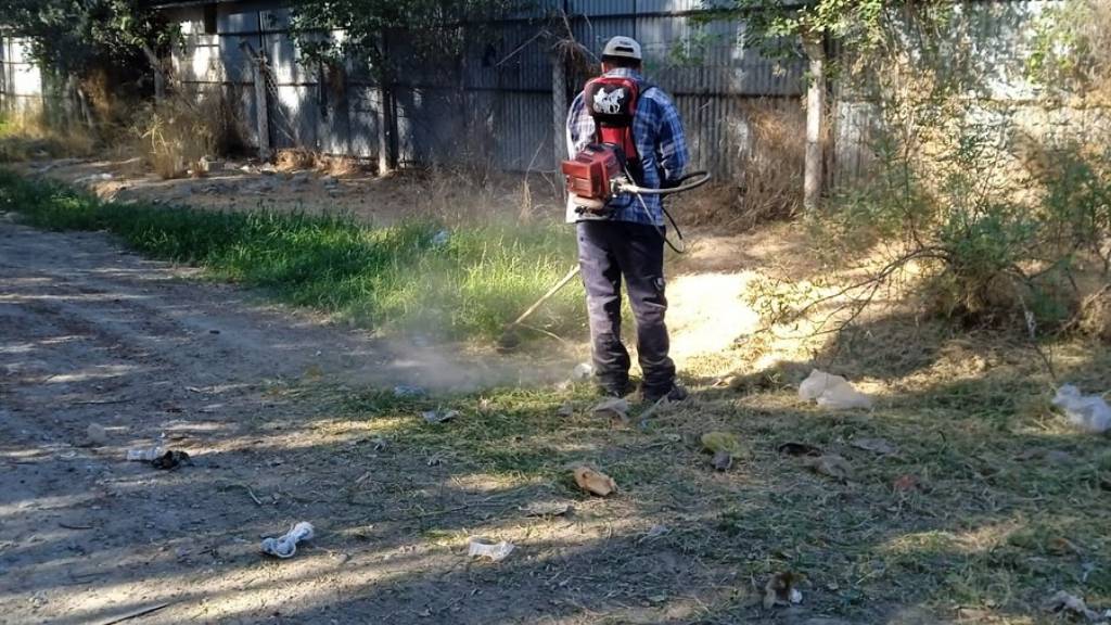 Germencik Belediyesi'nden Okul Bakım ve Onarım Çalışmaları