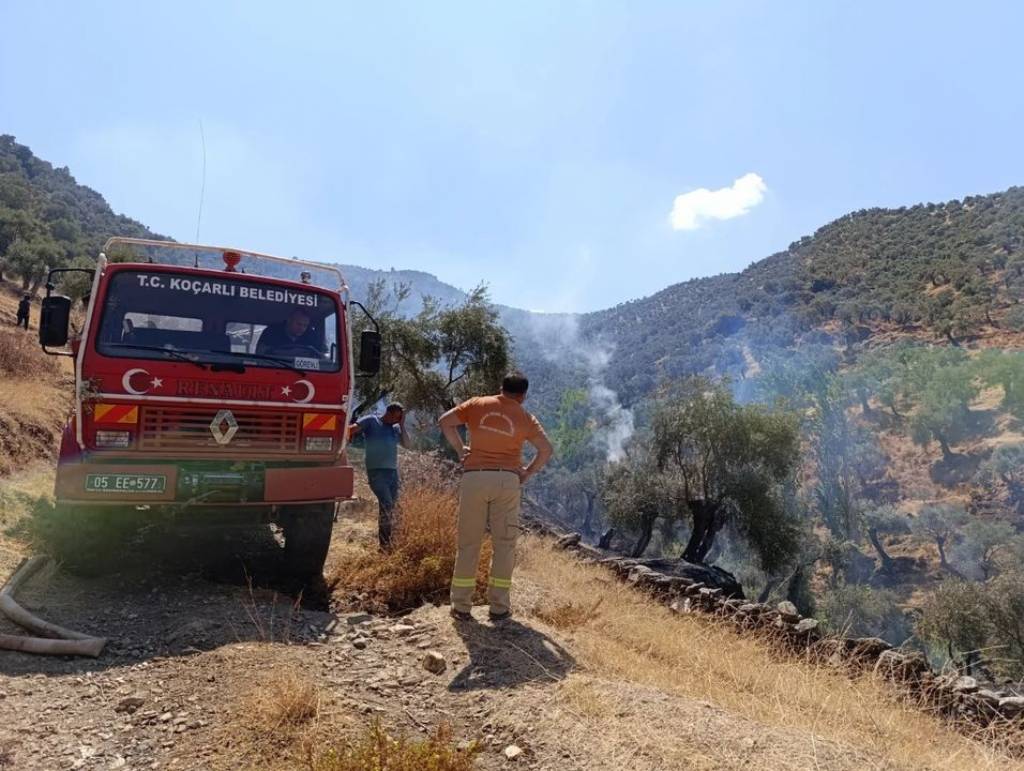 Koçarlı'da Zeytinlik Alanda Yangın Kontrol Altına Alındı