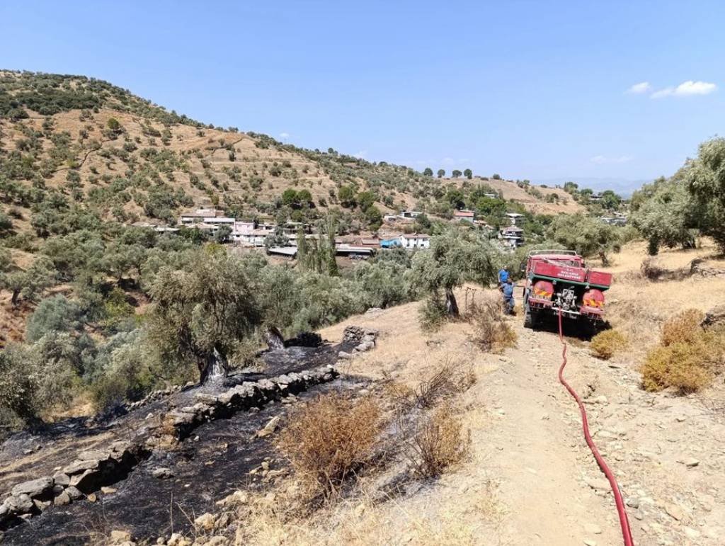 Koçarlı'da Zeytinlik Alanda Yangın Kontrol Altına Alındı