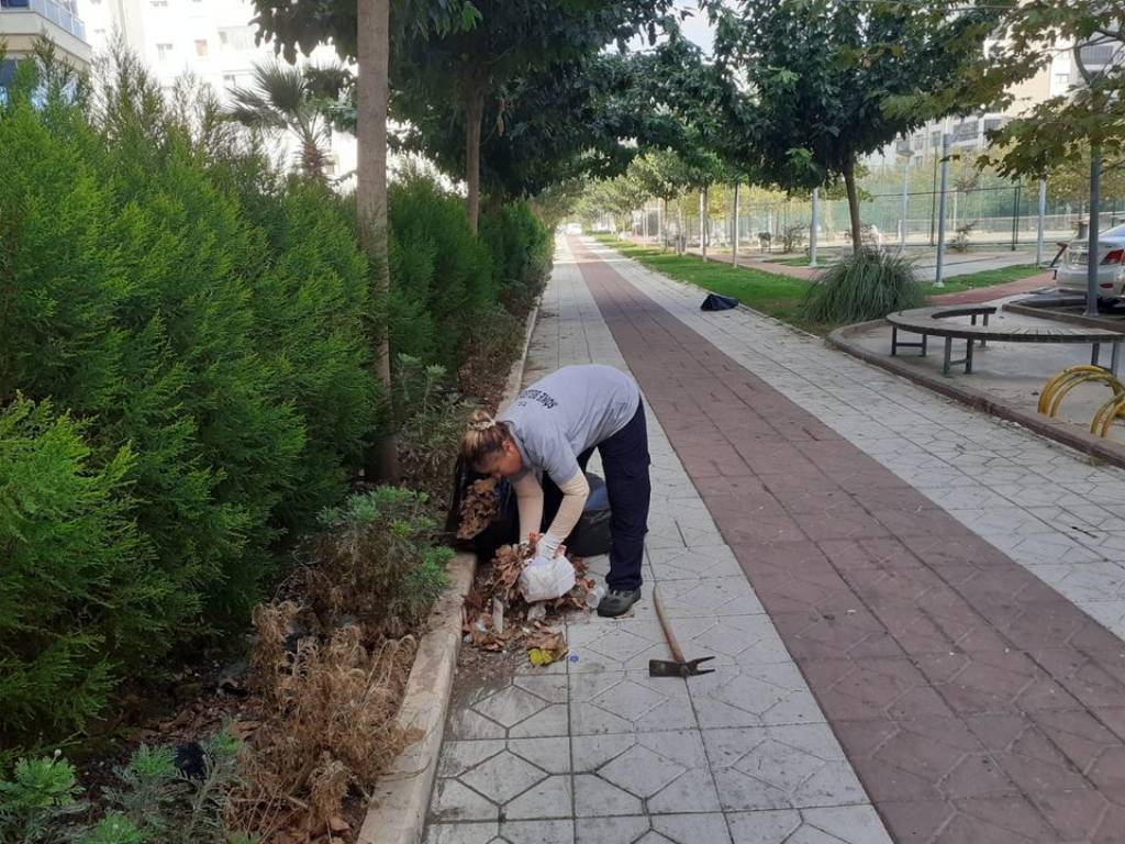 Söke Belediyesi Ekipleri Yeşil Alan Temizliklerine Devam Ediyor