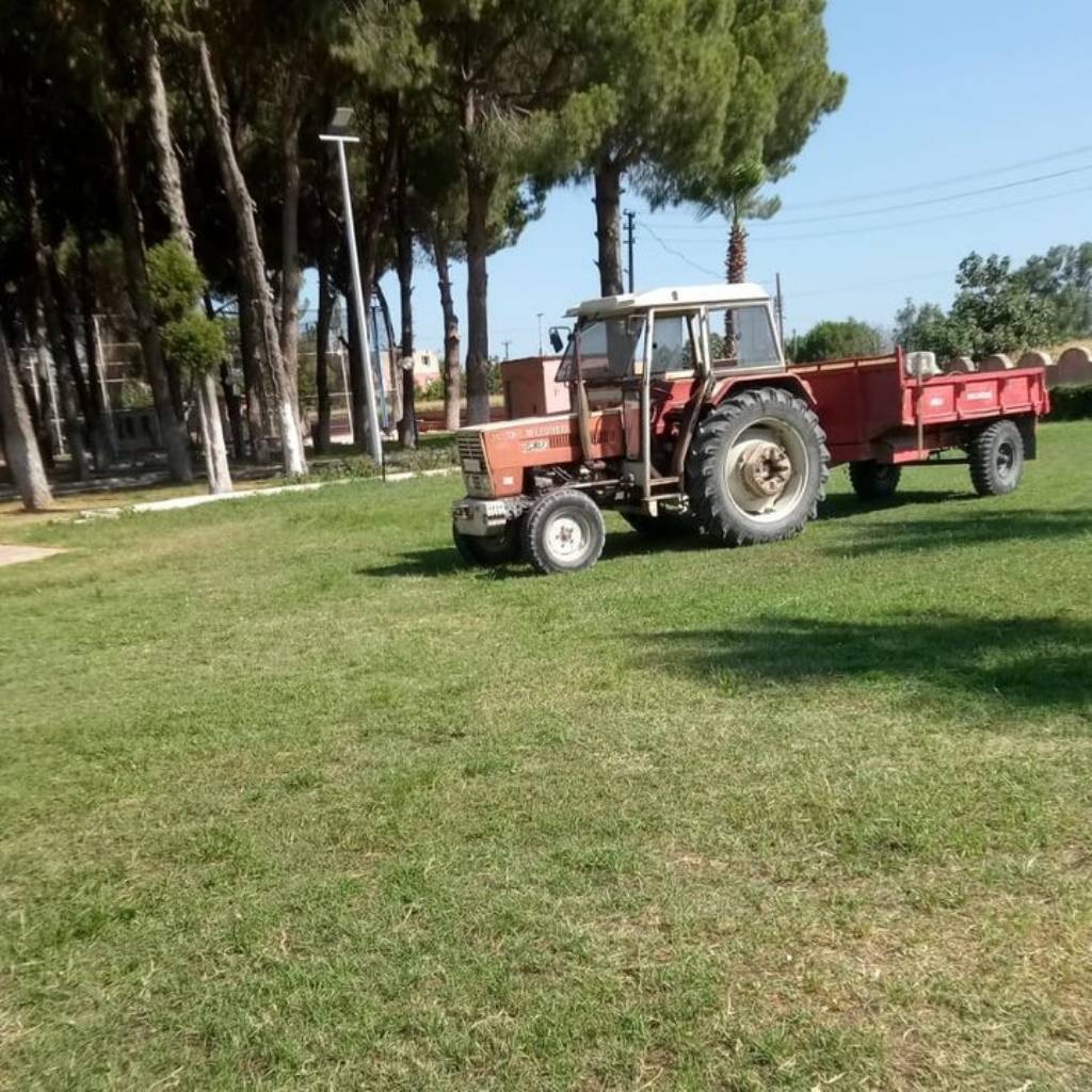 Söke Belediyesi Ekipleri Yeşil Alan Temizliklerine Devam Ediyor