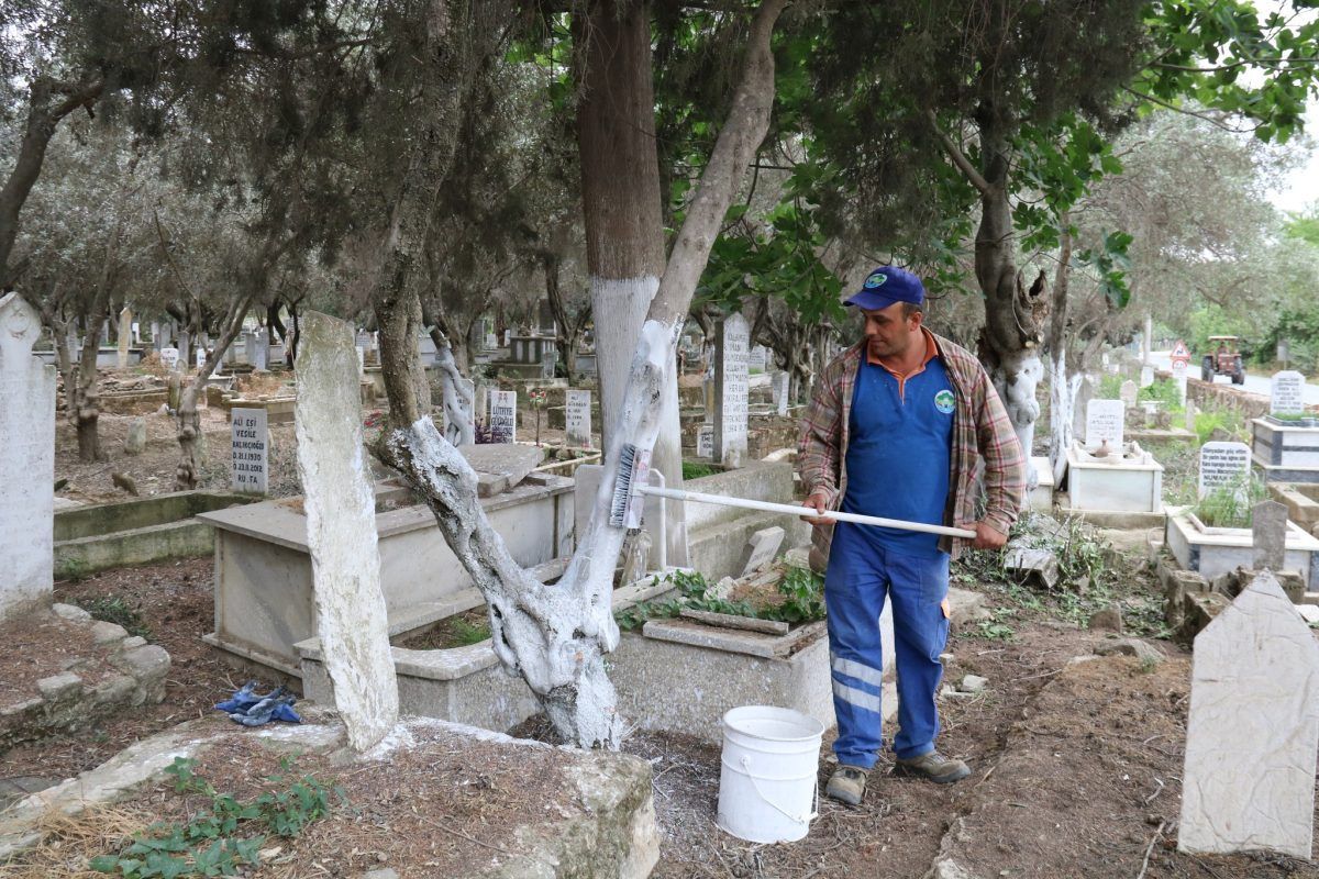 Yenipazar Ortası Mezarlığında Taş Döşeme Çalışmaları Tamamlandı