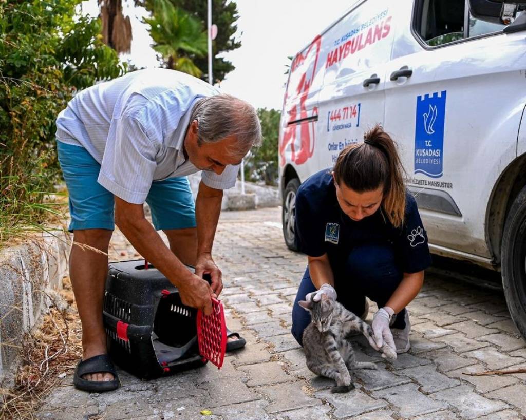 Kuşadası Belediyesi'nden Haybulans Hizmeti: Can Dostlarımız İçin 7/24 Destek!