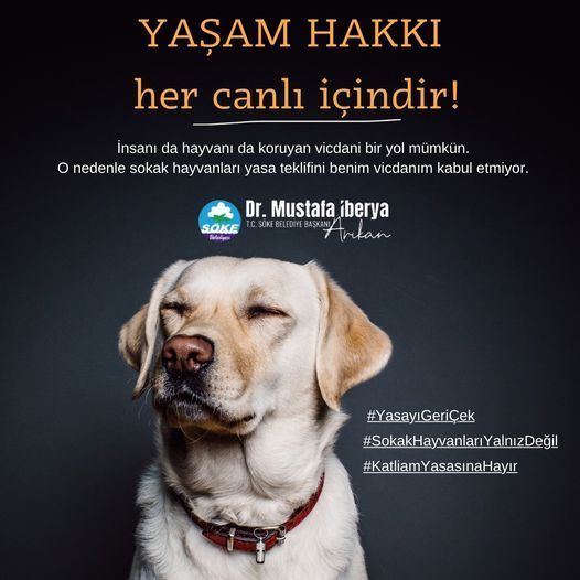 Söke Belediye Başkanı Dr. Mustafa İberya Arıkan'dan Sokak Hayvanları Yasasına Tepki