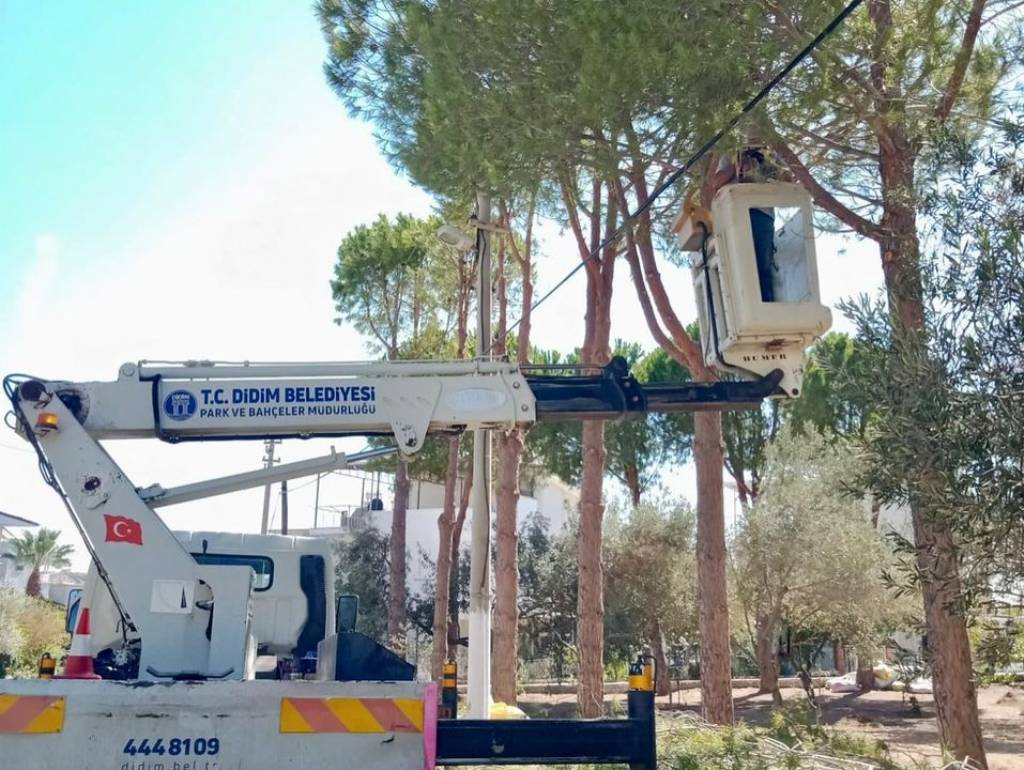 Didim Belediyesi'nden Ağaç Budama Çalışmaları