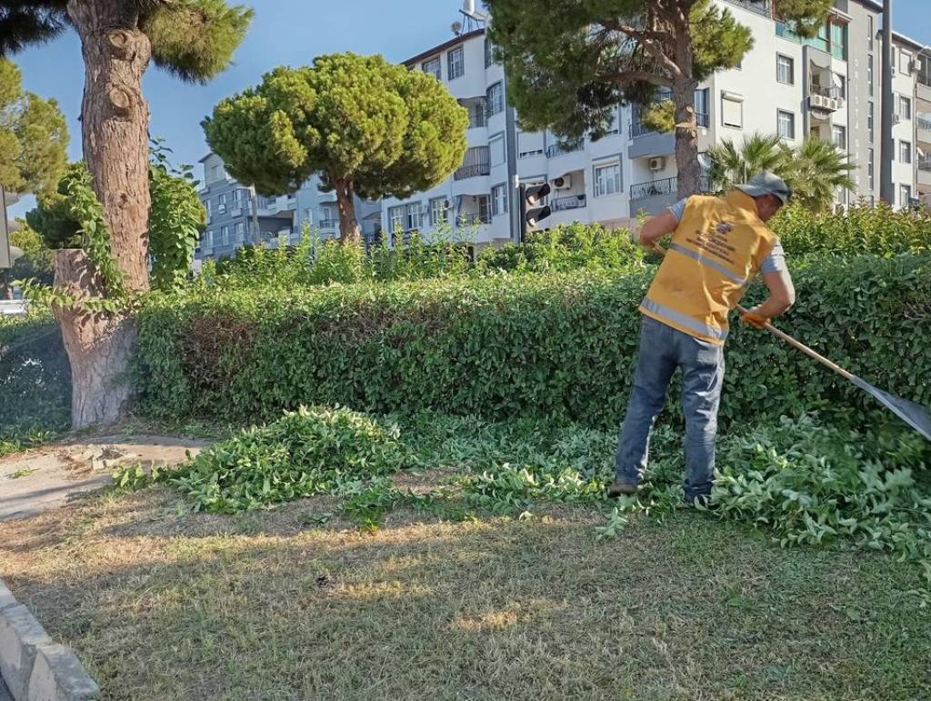 Başkan Çerçioğlu, Didim'de Çevre ve Peyzaj Düzenlemeleriyle Kent Estetiğini Artırıyor