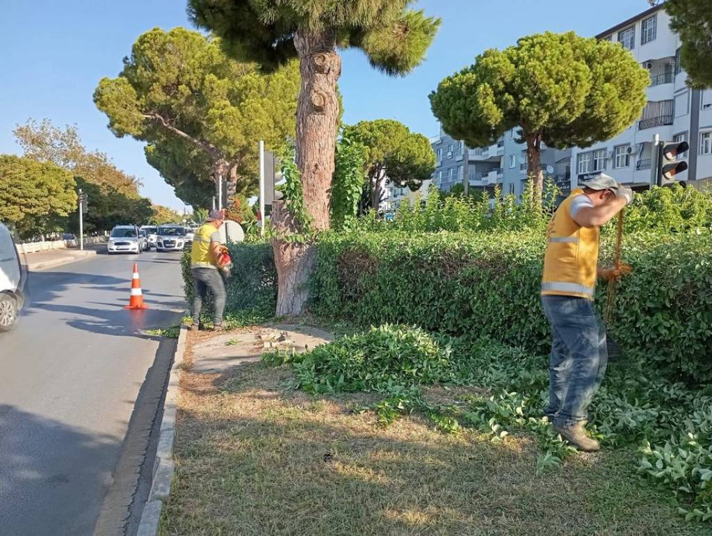 Başkan Çerçioğlu, Didim'de Çevre ve Peyzaj Düzenlemeleriyle Kent Estetiğini Artırıyor